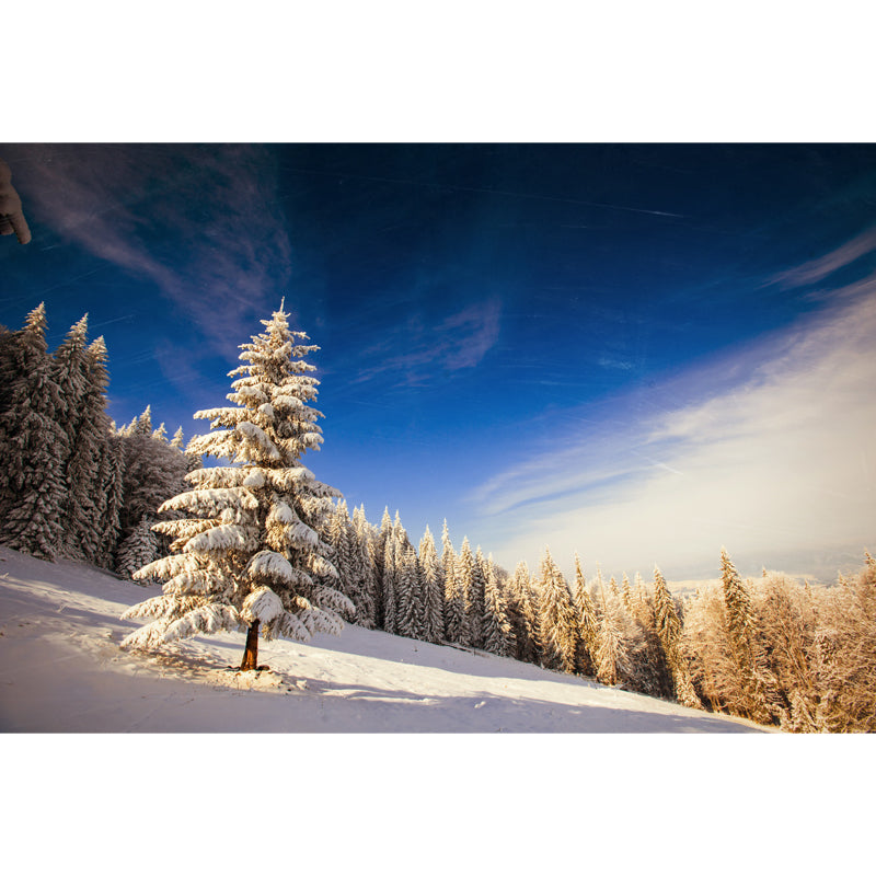 Huge Modern Mural Blue-White Snow Cypress Mountain with Clean Sky Wall Covering, Custom Made