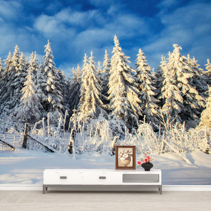 Modern Snow Cypress Mural Wallpaper Blue Cloudy Sky Wall Decoration for Corridor