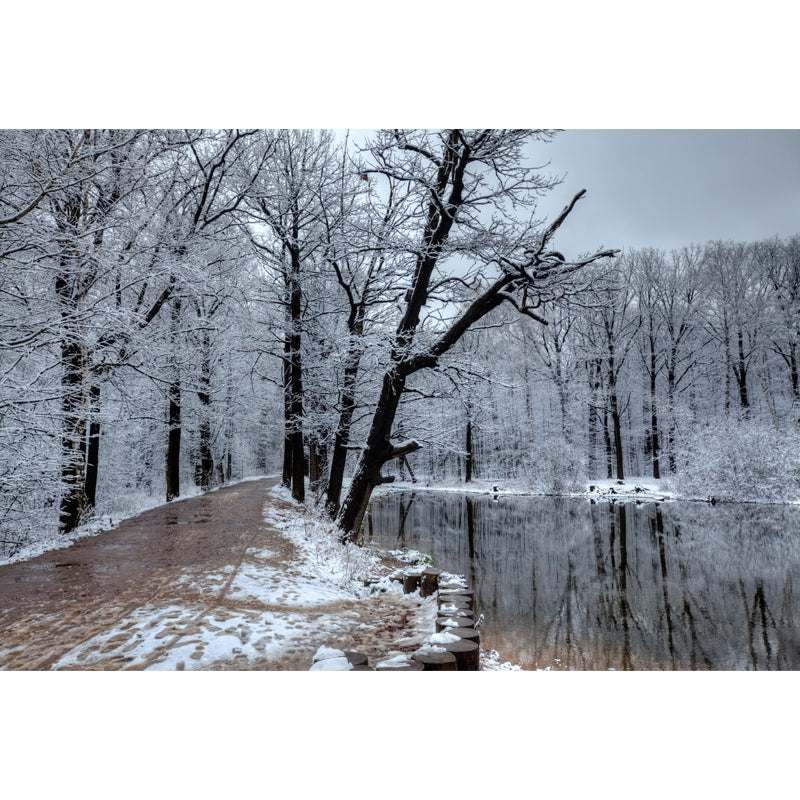 Lake Reflection Snowy Tree Mural Wallpaper Grey Modern Wall Covering for Bedroom