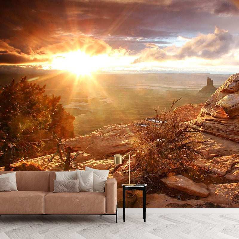 Brown Savannas Sunset View Mural Stain Resistant Modern Living Room Wall Covering