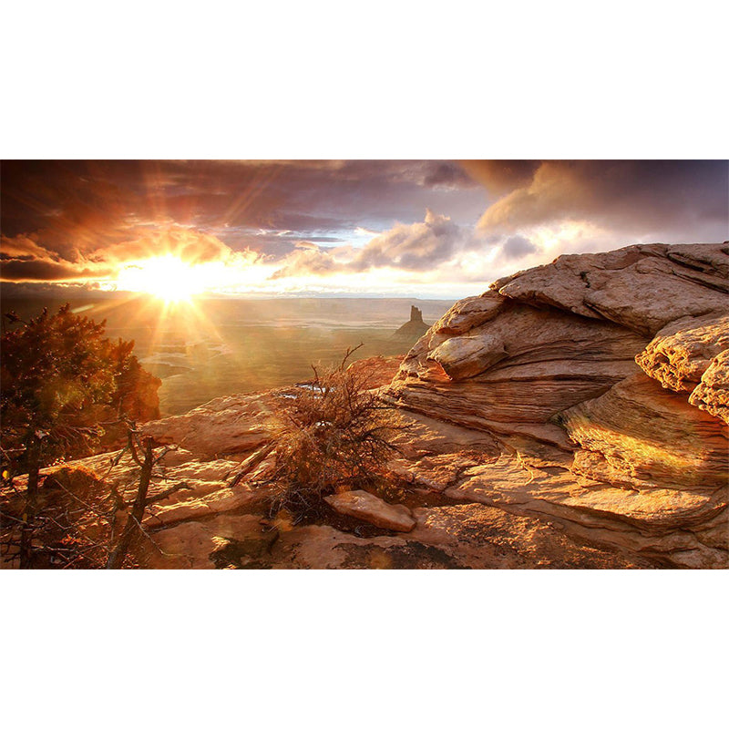 Brown Savannas Sunset View Mural Stain Resistant Modern Living Room Wall Covering