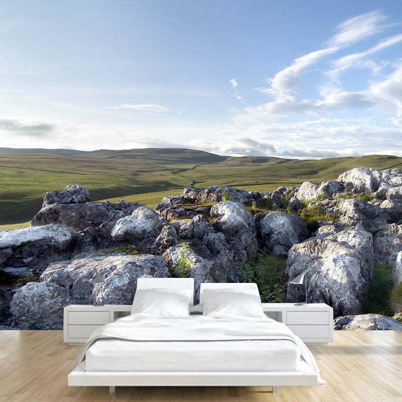 Whole Landscape Mural Decal Modern Fascinating Stone and Leafless Tree Wall Decor in Grey