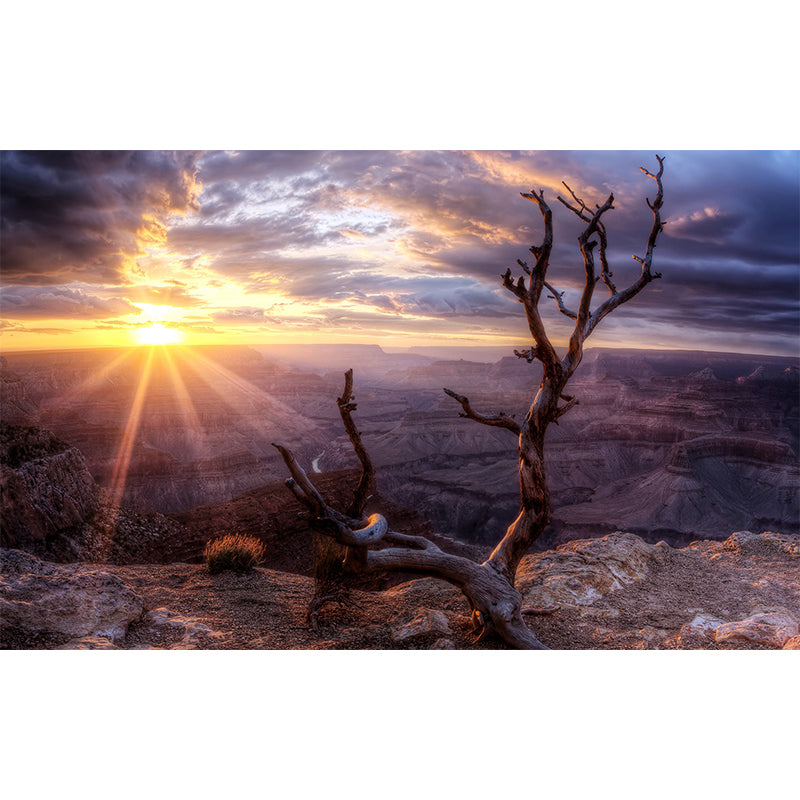 Brown Withered Branch Mural Sunset Mountain Landscape Modern Waterproof Wall Covering