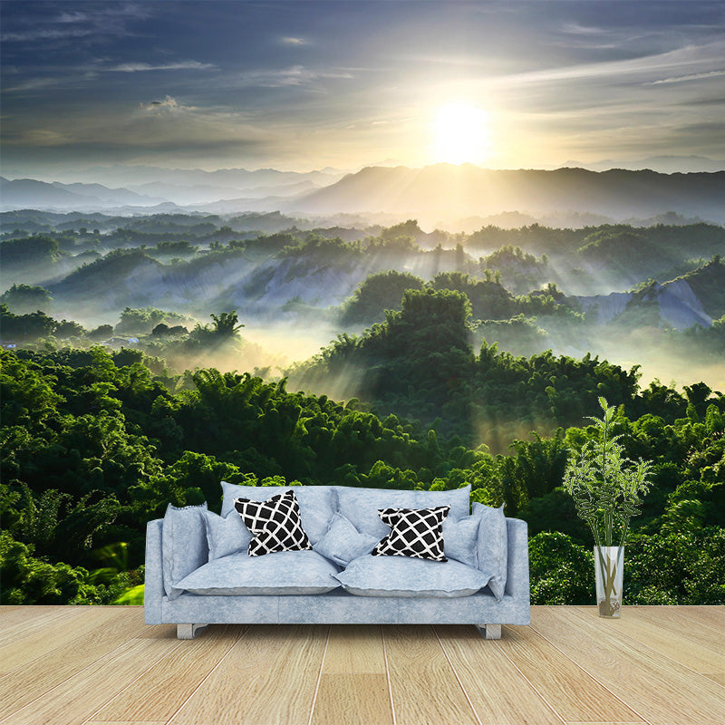 Big Scenery Wallpaper Mural Modern Aerial View of Sun Shines Across Forest Wall Decor in Green