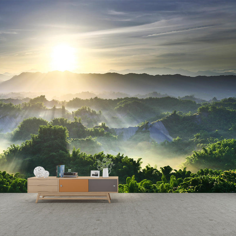 Big Scenery Wallpaper Mural Modern Aerial View of Sun Shines Across Forest Wall Decor in Green