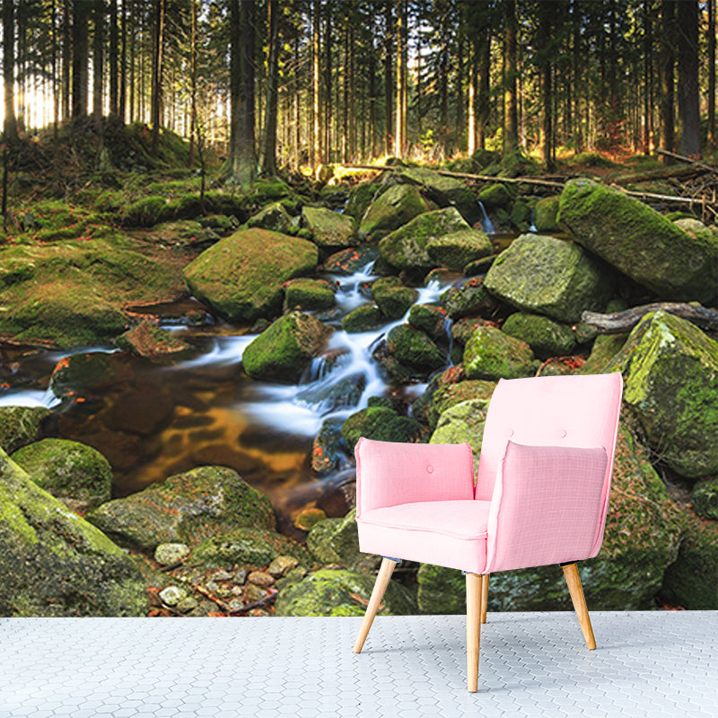 Tropical Forest Creek Wallpaper Mural in Green Living Room Wall Decor, Custom Size