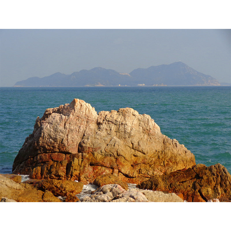 Sea Behind Stone Scenery Mural Contemporary Smooth Surface Wall Covering in Brown