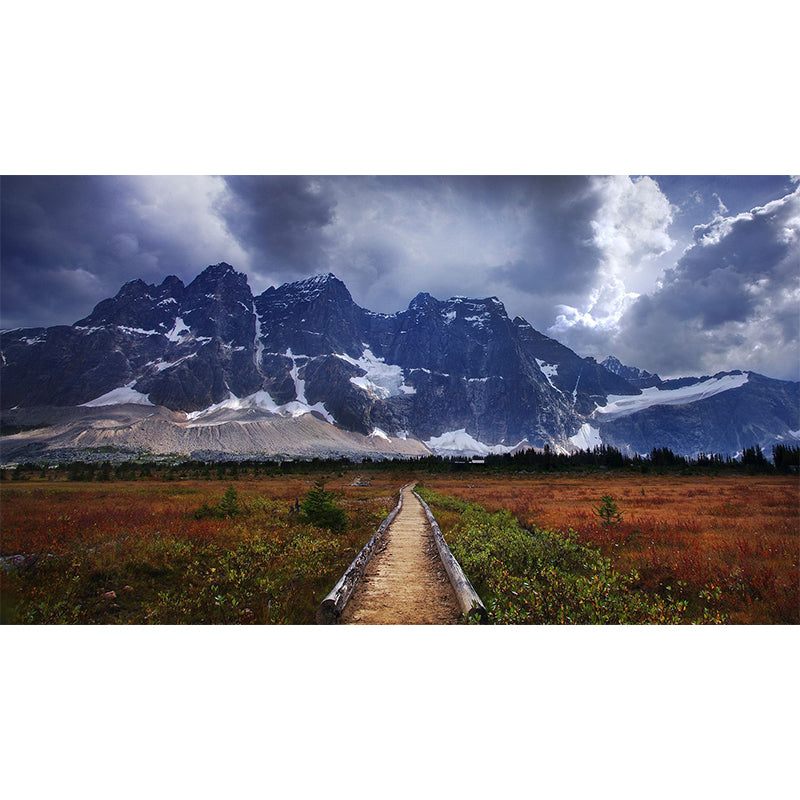 Blue Pathway Scene Wallpaper Mural Snow Melting Mountain Modern Washable Wall Covering