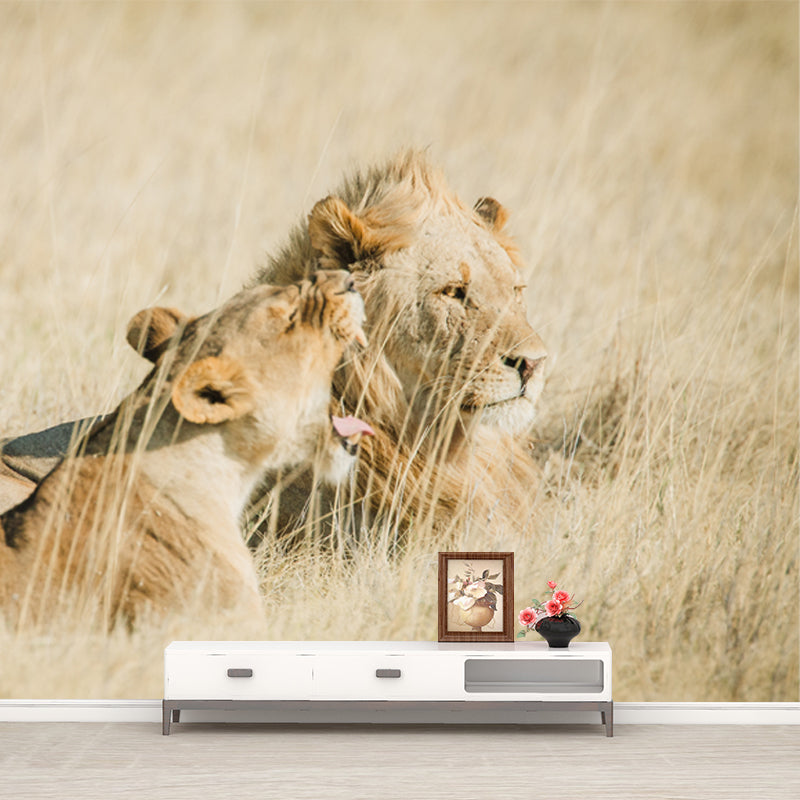 Brown Lions in Grass Mural Decal Water-Proof Wall Decor for Living Room, Optional Size