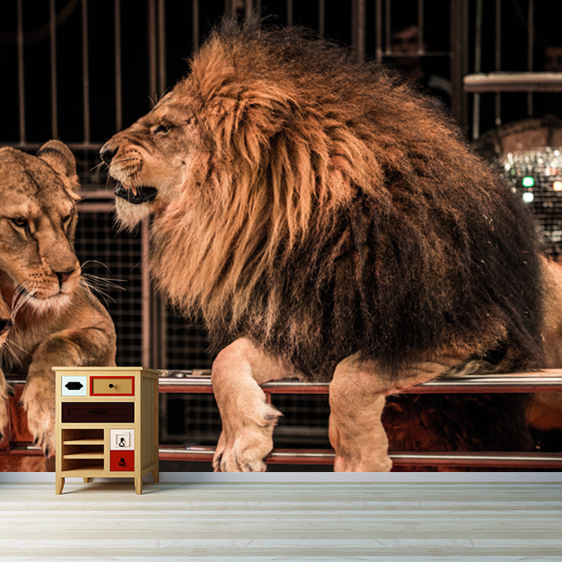 Brown Modern Wallpaper Mural Large Male Lion with Its Wives Wall Art for Bedroom