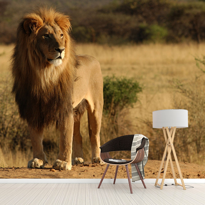 African Savannas Lion Mural Decal Brown Contemporary Wall Covering for Accent Wall