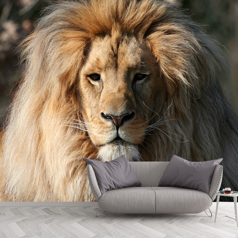 Modern Boys Wall Mural Decal with Lion Head Pattern Brown Wall Art for Living Room