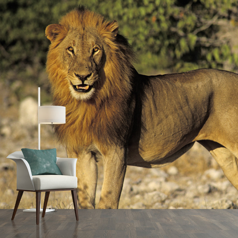 Whole Lion Wallpaper Mural Brown Non-Woven Cloth Wall Covering, Washable, Custom Print