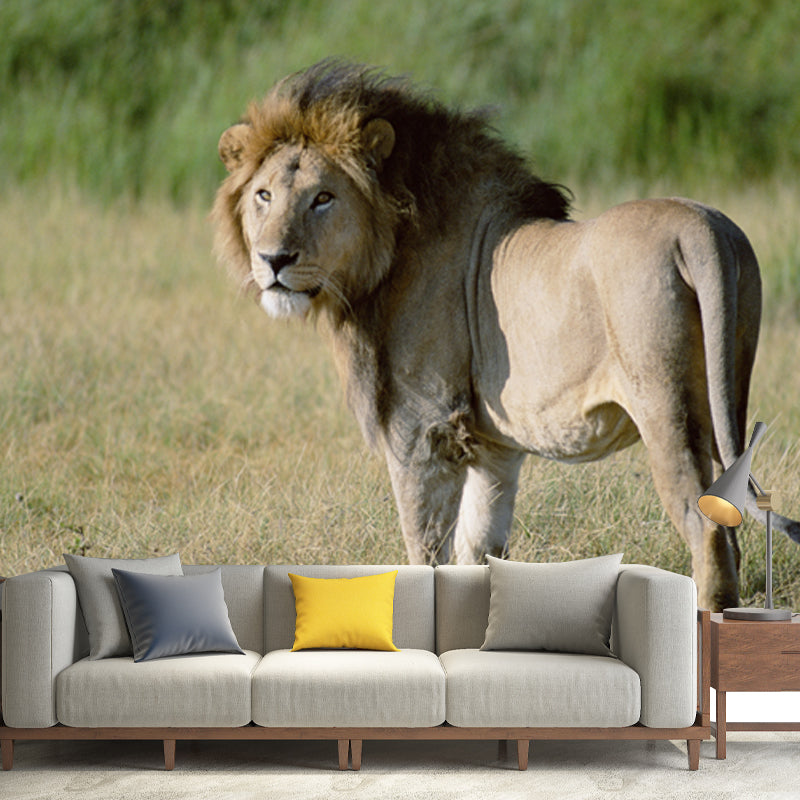 Lion in Savannas Wall Mural Modern Style Smooth Wall Art in Green for Living Room