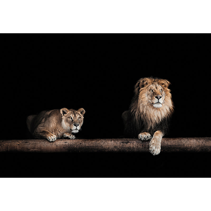 Lions in the Dark Mural Black Modernist Wall Art for Living Room, Personalized Size