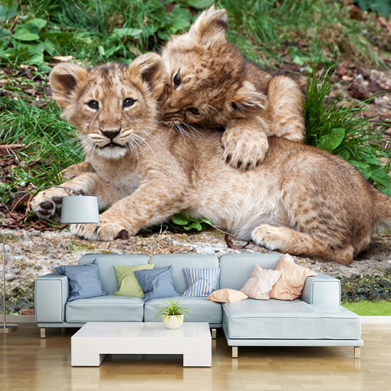 Photography Little Lions Playing Mural Large Size Wall Decor for Bedroom, Custom Size