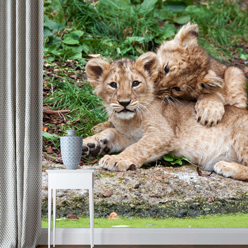 Photography Little Lions Playing Mural Large Size Wall Decor for Bedroom, Custom Size