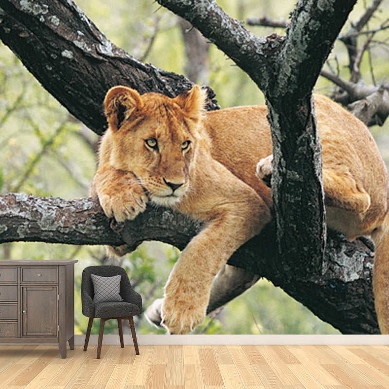 Teenage Lion in Tree Mural Wallpaper Modern Water-proof Living Room Wall Covering, Custom Made