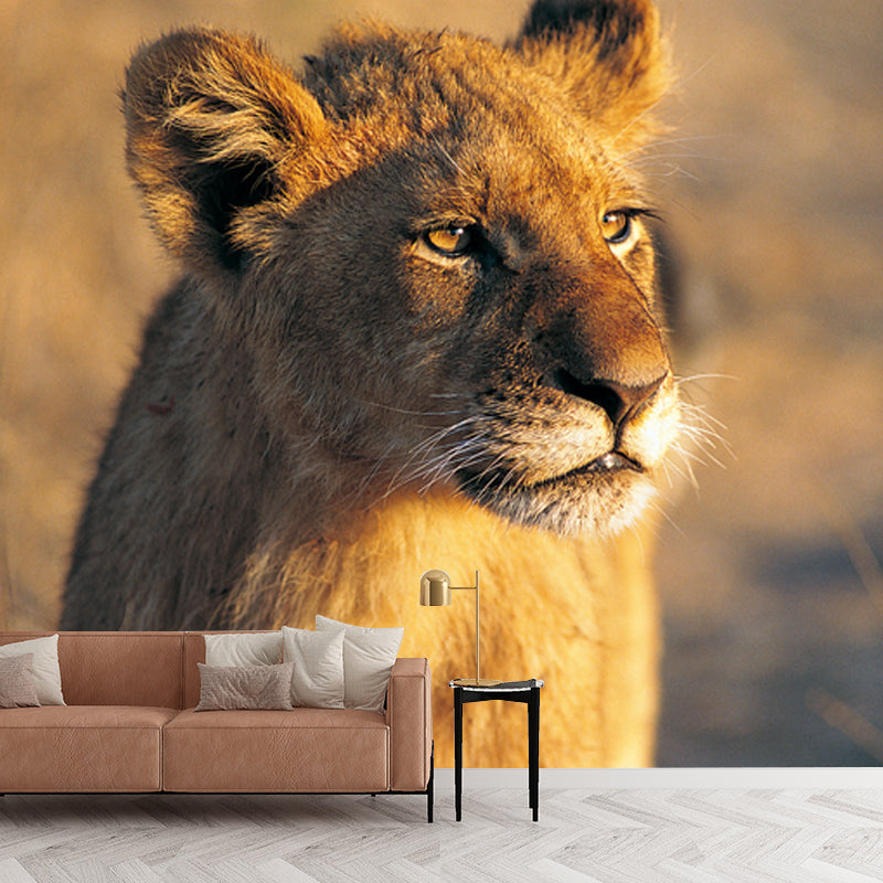 Modern Young Lion Sunset Mural Brown Moisture Resistant Wall Covering for Accent Wall