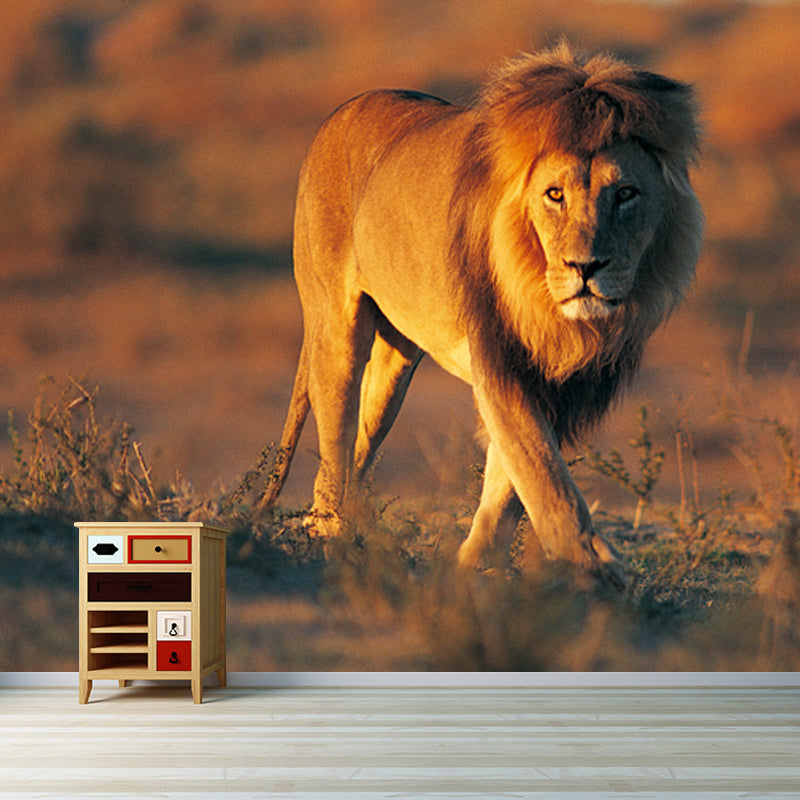 Smooth Whole Brown Mural Modern Lion Walk in the Sunset Wall Covering, Custom Print