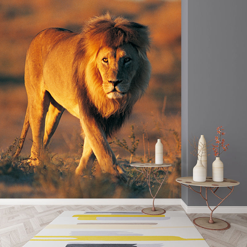 Smooth Whole Brown Mural Modern Lion Walk in the Sunset Wall Covering, Custom Print