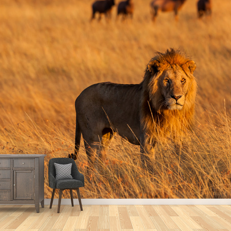 Large Wild Animal Mural for Home Savanna Lion with Its Prey Wall Art in Brown, Waterproof