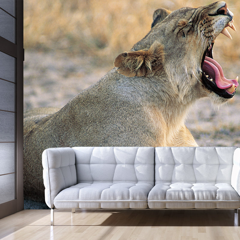 Brown Wild Animal Wallpaper Mural Lion Giving A Big Yawn Modern Washable Wall Decor