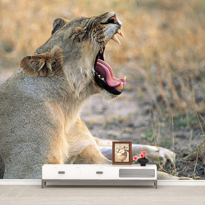 Brown Wild Animal Wallpaper Mural Lion Giving A Big Yawn Modern Washable Wall Decor