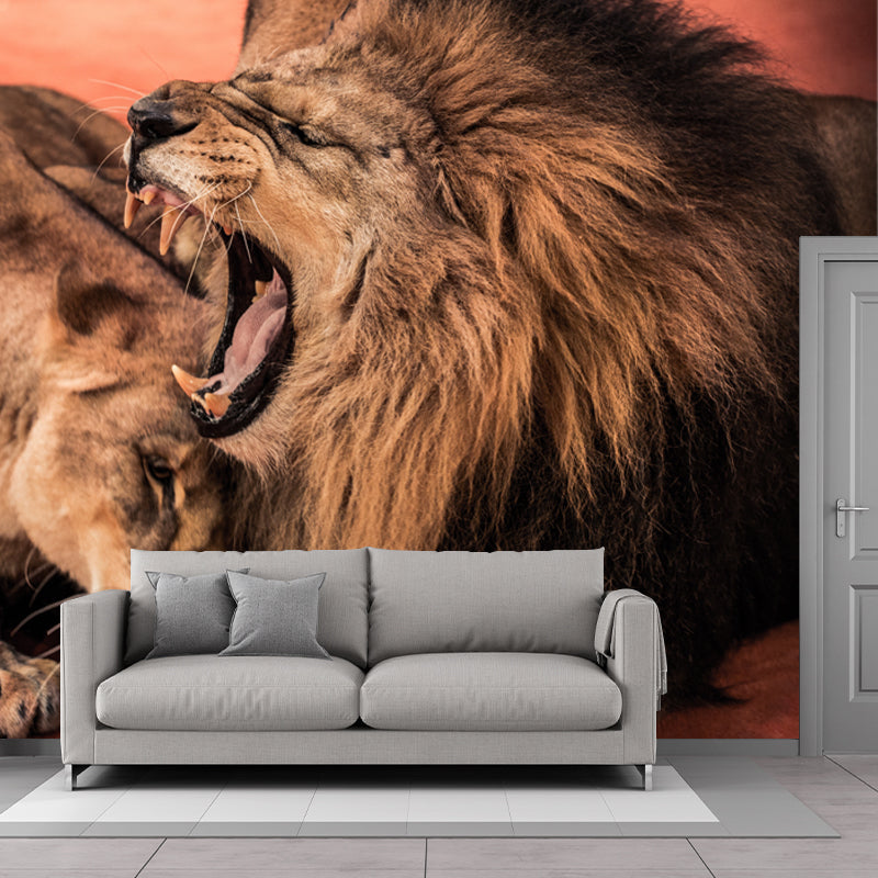 Brown Sleepy Lions Mural Wallpaper Moisture Resistant Wall Covering for Accent Wall