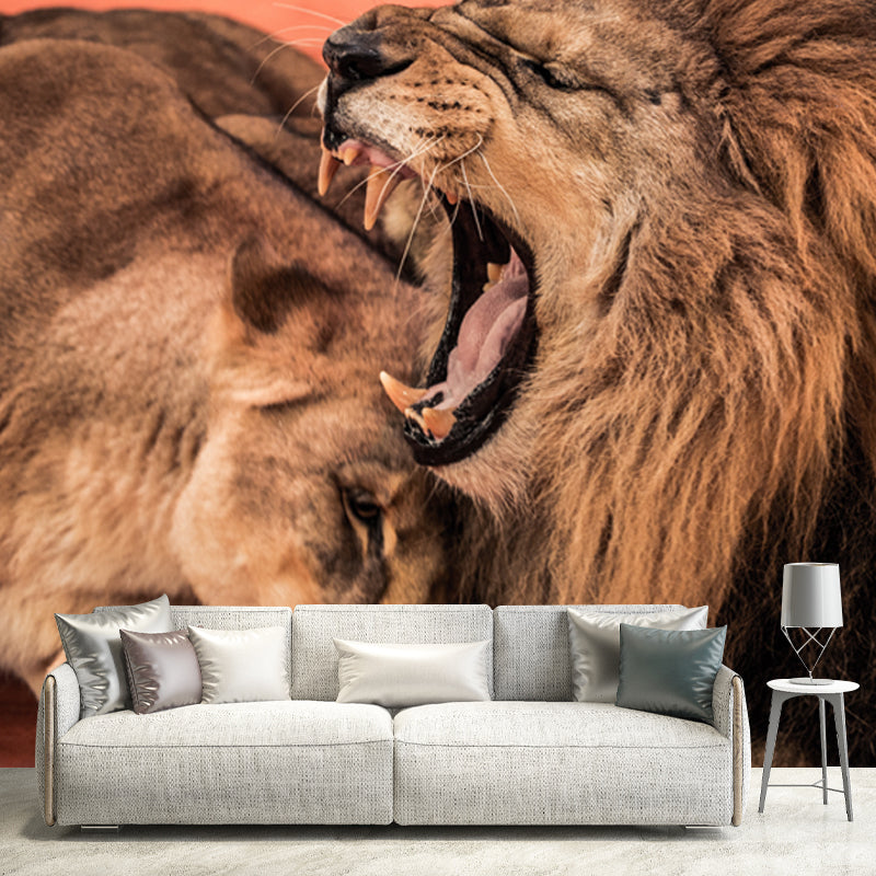 Brown Sleepy Lions Mural Wallpaper Moisture Resistant Wall Covering for Accent Wall