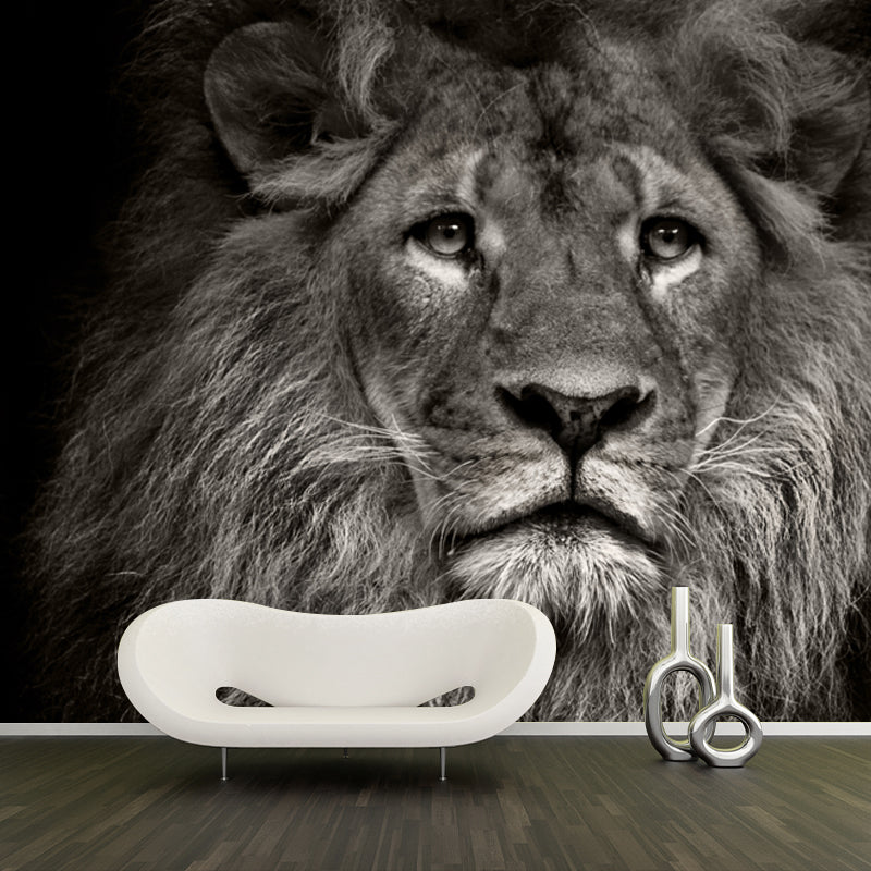 Photo Printed Lion Head Mural Wallpaper for Accent Wall, Black, Personalized Size