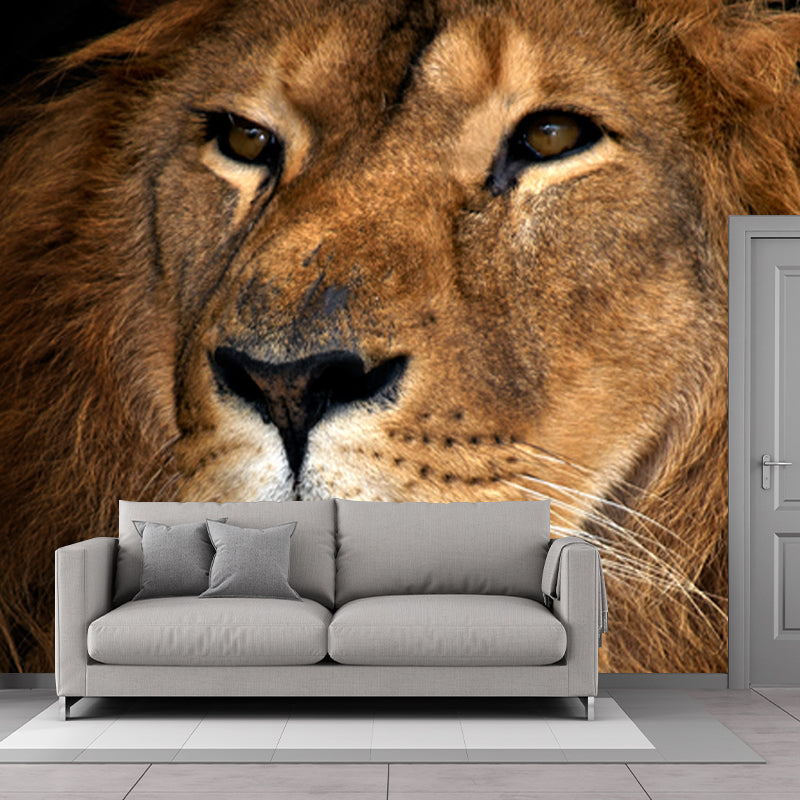 Big Closeup African Lion Mural Moisture Resistant Modern Bedroom Wall Art in Brown