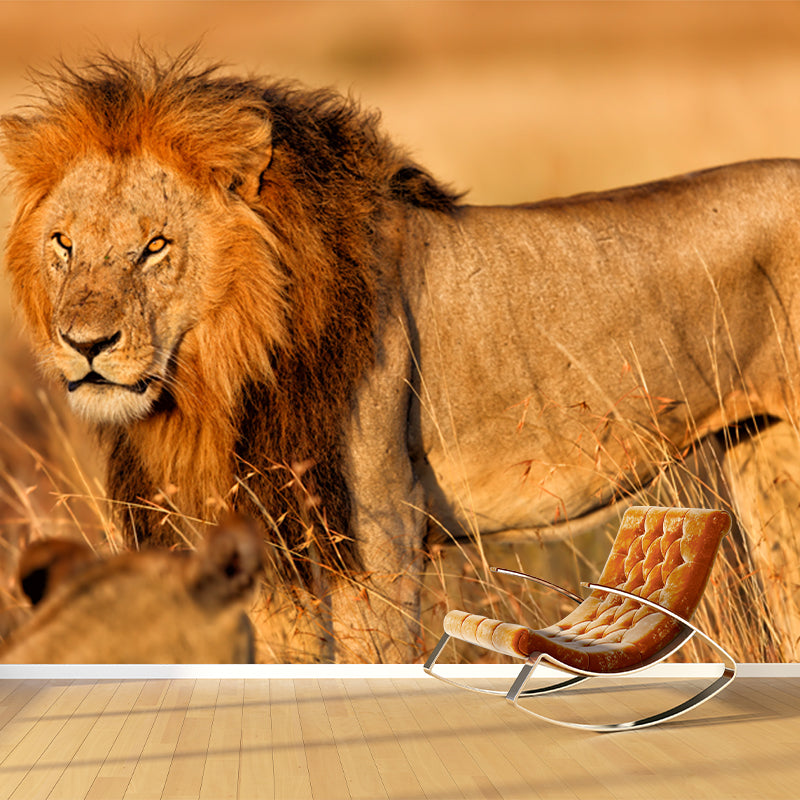 Lion of African Grassland Mural Modern Non-Woven Wall Covering in Brown for Home