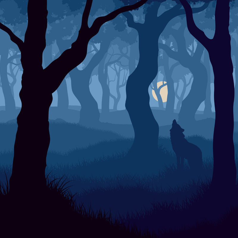 Blue Modern Mural Wallpaper Large Wolf Howling in Night Foggy Forest Wall Decor for Home