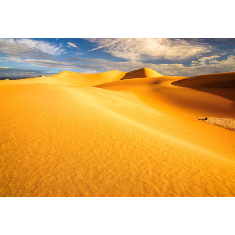Non-Woven Big Yellow Mural Modernist Sand Dunes View Wall Covering, Customized Size