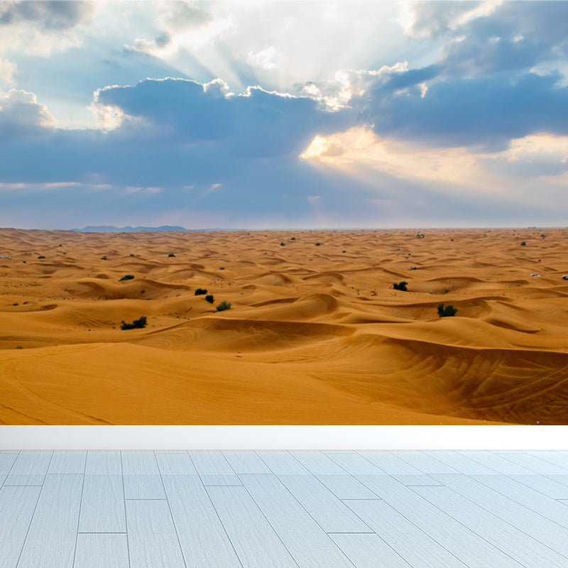 Broad Sand Sea Wallpaper Mural for Accent Wall, Yellow and Blue, Personalized Size Available