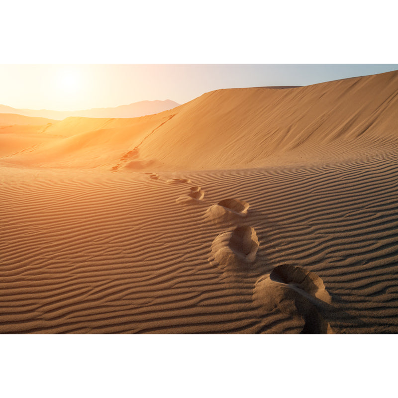 Huge Footprint Mural Wallpaper Modern Beautiful Sunset Desert Wall Decor in Yellow