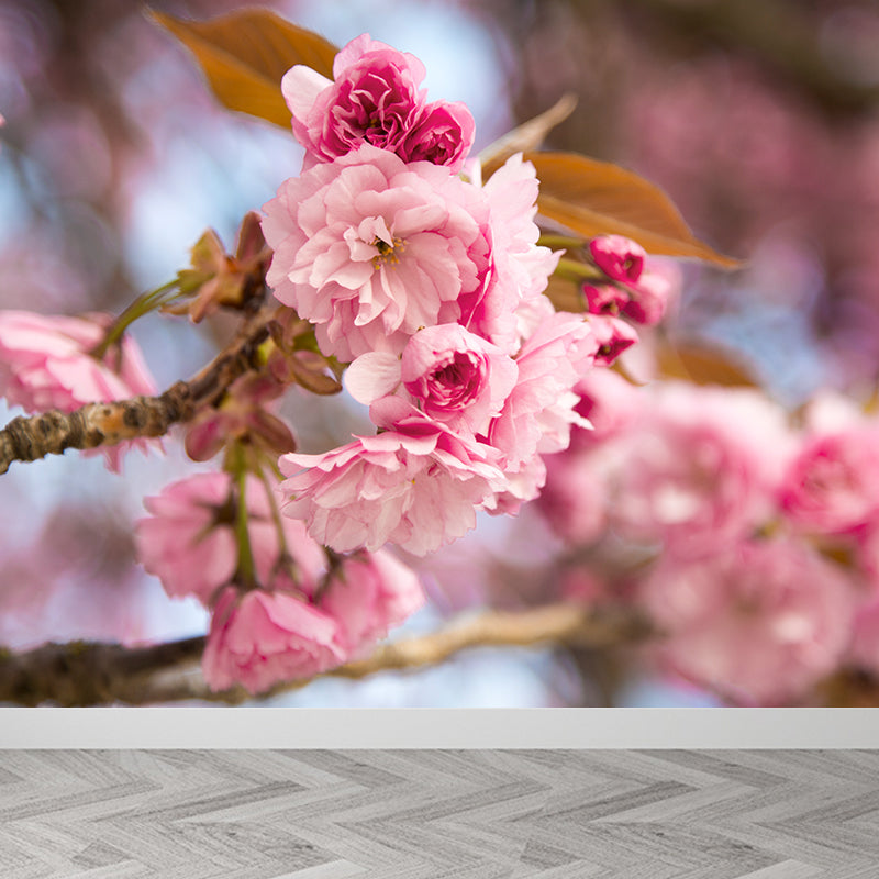 Pink Cherry Blossoming Mural Wallpaper Moisture Protection Modern Bathroom Wall Art