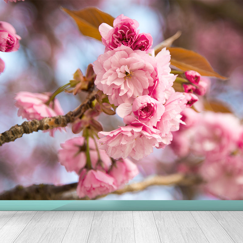 Pink Cherry Blossoming Mural Wallpaper Moisture Protection Modern Bathroom Wall Art