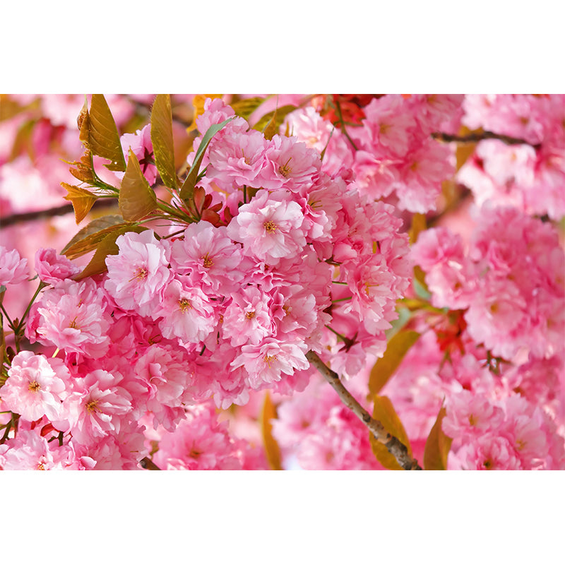 Huge Flower Landscape Mural Decal Pink Non-Woven Wall Art for Home Decor, Personalised