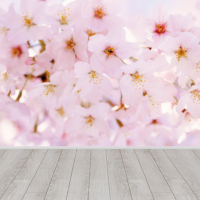 Pink Cherry Petal Mural Wallpaper Flower Contemporary Stain Resistant Wall Decor