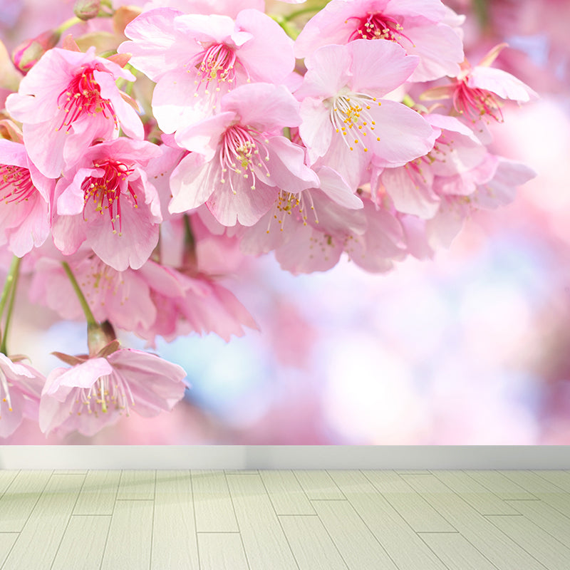 Modern Cherry Blossom Mural Decal Pink Living Room Wall Covering, Custom Size Available