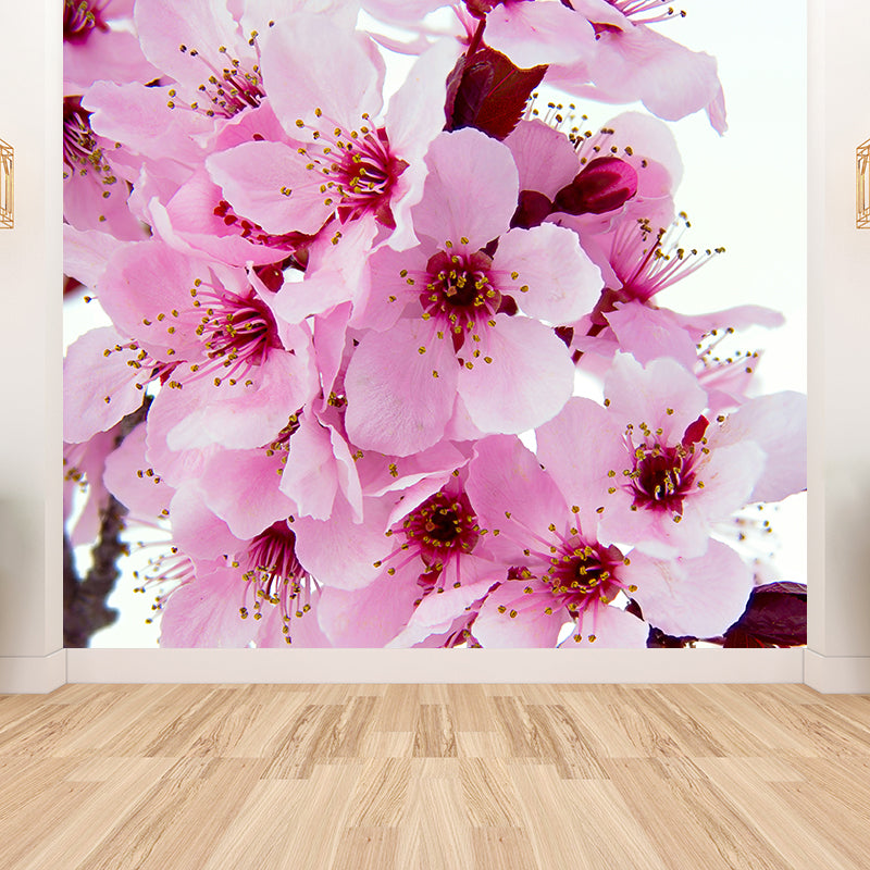 Pink Flower Blossom Wall Mural Moisture Resistant Modern Living Room Wall Covering