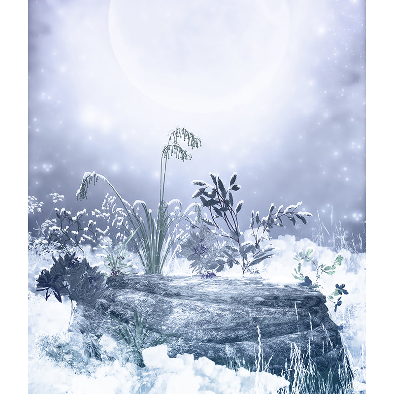 Botanical and Rock Mural Decal Modern Decorative Kitchen Wall Covering, Made to Measure