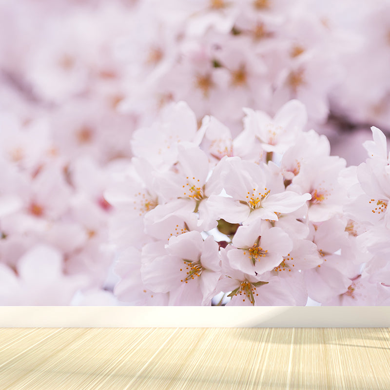 Washable Cherry Mural Non-Woven Fabric Contemporary Wall Decor for House Interior