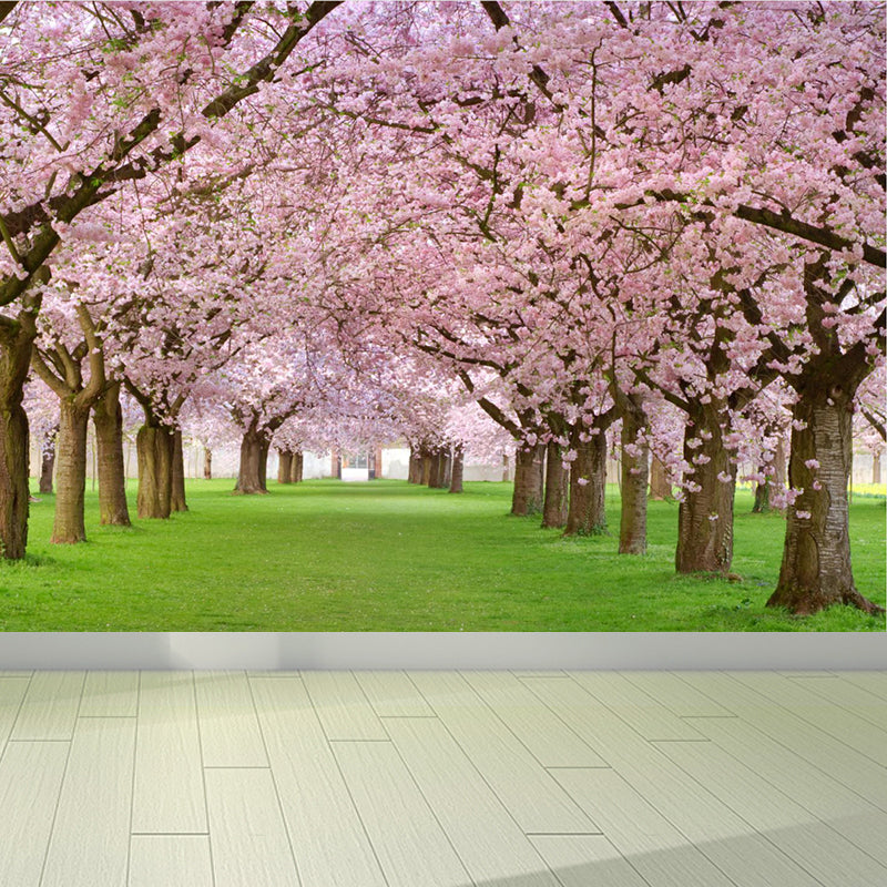 Extra Large Modern Mural Wallpaper in Pink Cherry Trees Wall Decor, Custom Printed