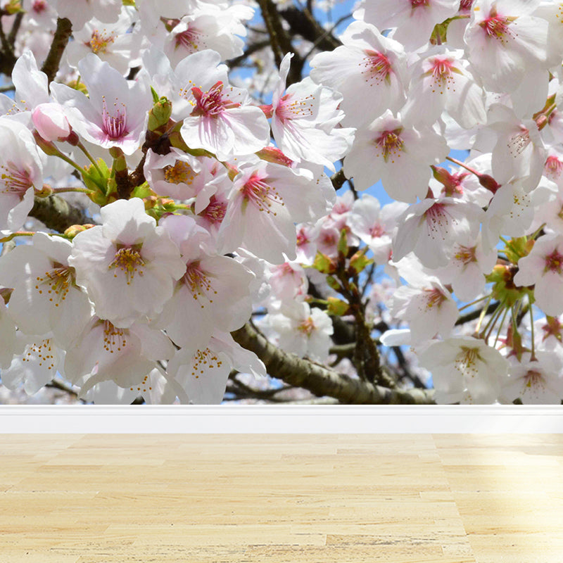 Moisture Resistant Cherry Wall Mural Non-Woven Modern Wall Decor for Dining Room