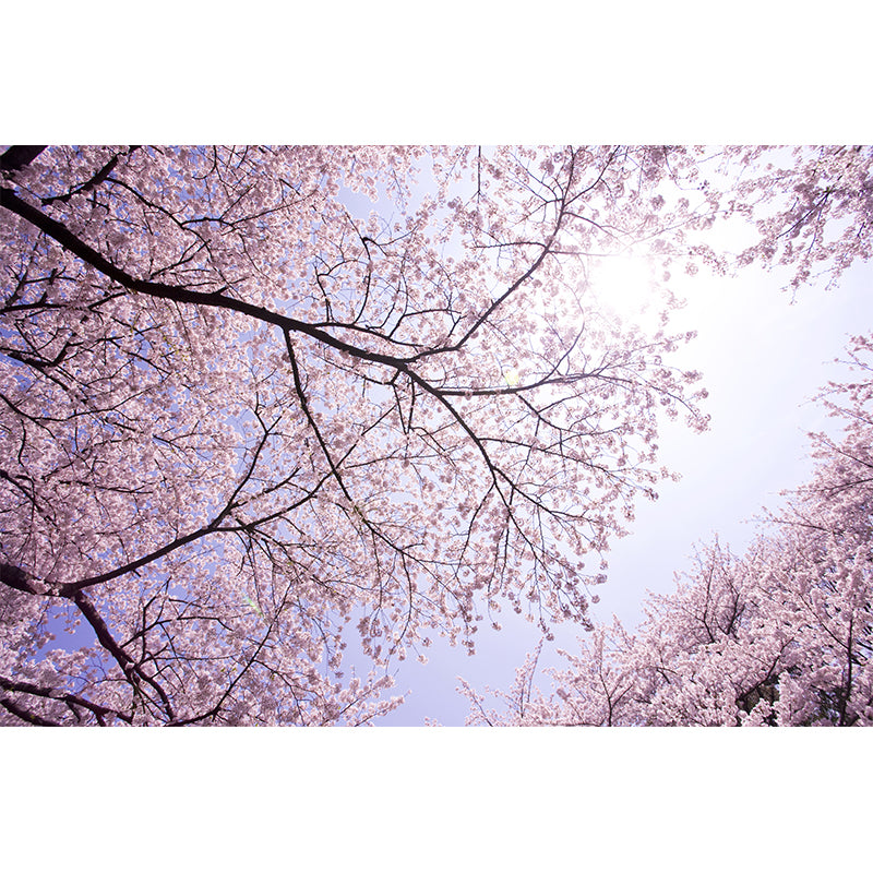 Big Cherry Forest Mural Decal Pink Non-Woven Fabric Wall Covering for Living Room, Custom Size