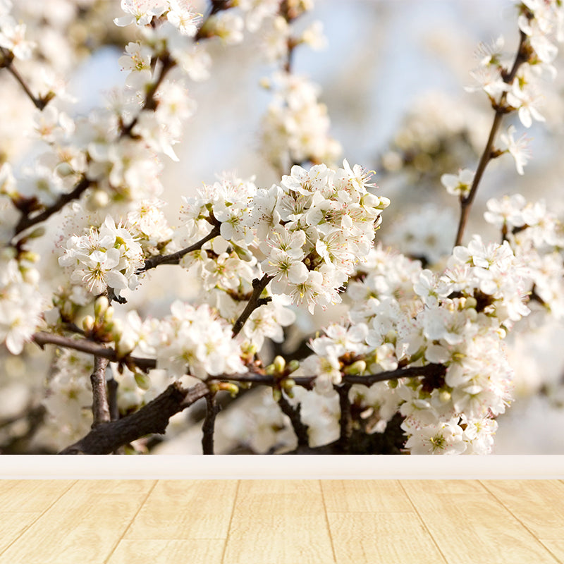 Florentine Wall Mural Modern Waterproof Playroom Wall Decor, Custom Size Available