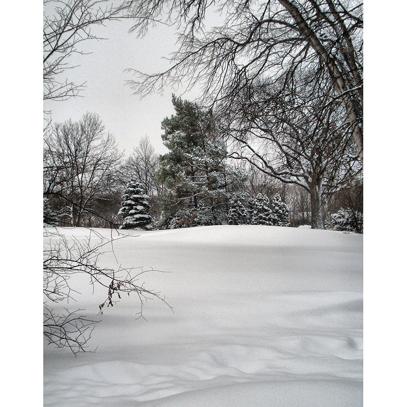 Winter Botanical Mural Wallpaper Gray Contemporary Wall Covering for Living Room